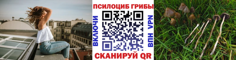 Псилоцибиновые грибы мухоморы  Аткарск 